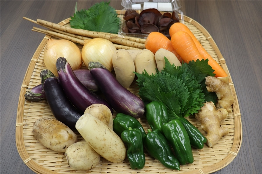 熊本市産 季節の野菜詰め合わせBOX[約10種類]【夏のJAタウン祭り】: JA
