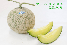 熊本市産アールスメロン2玉【芳醇な香りと上品な甘み！】【夏のJA
