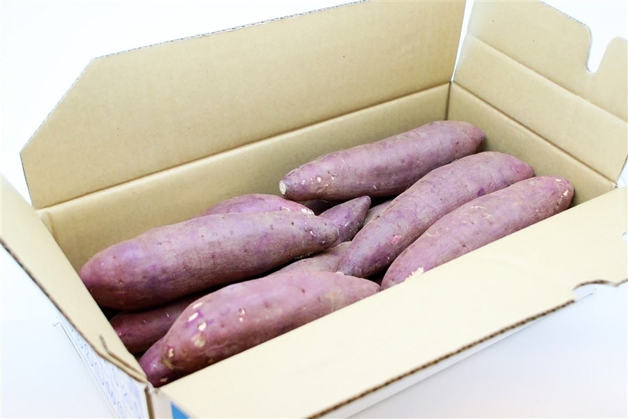 産地直送 通販 お取り寄せ送料無料！【2箱セット】 2Lサイズ 5kg 甘太くん 大分県特産かんしょ（さつまいも）: JA全農おおいた|ＪＡタウン