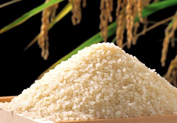 R5年産】大分県産 ひとめぼれ 10kg: まるっと完食おおいた～美味しい