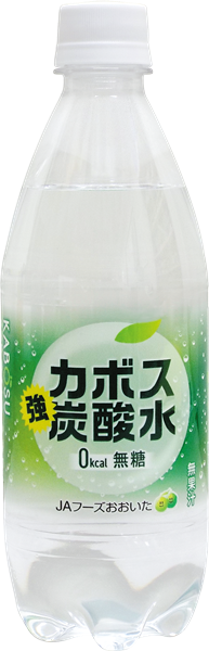 カボス強炭酸水 500ml×24本