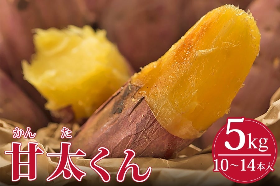 産地直送 通販 お取り寄せ送料無料！【2箱セット】 2Lサイズ 5kg 甘太くん 大分県特産かんしょ（さつまいも）: JA全農おおいた|ＪＡタウン