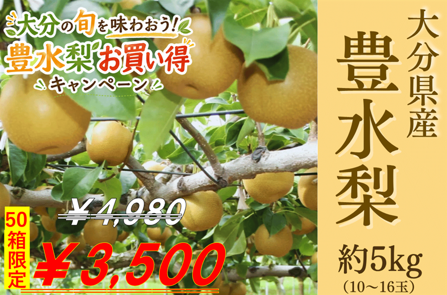 ≪クール便≫【豊水梨お買い得CP】大分県産 豊水梨 秀品約5kg（R8年産