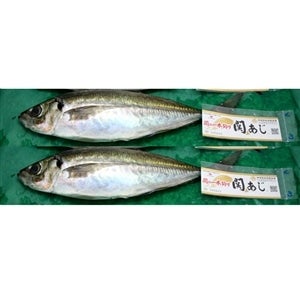 産地直送 通販 お取り寄せ関あじ 2尾 セット Ja全農おおいた jaタウン 産地直送 通販 お取り寄せ関あじ 2尾 セット Ja全農おおいた jaタウン
