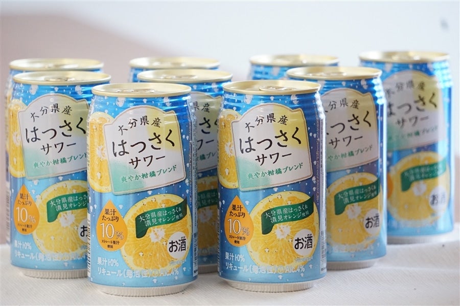 ͂T[340ml~24{