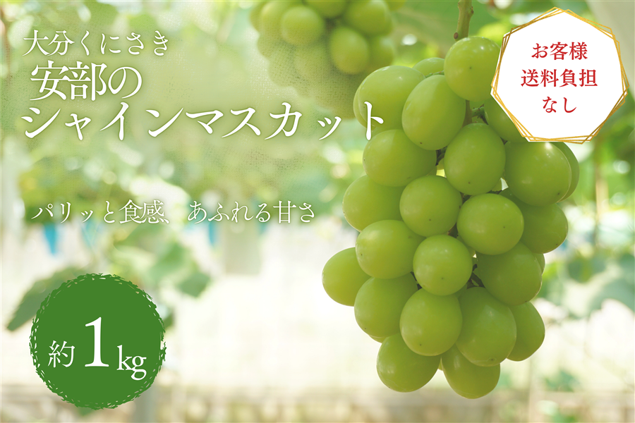 お客様送料負担なし】シャインマスカット（約1kg） 大分くにさき安部