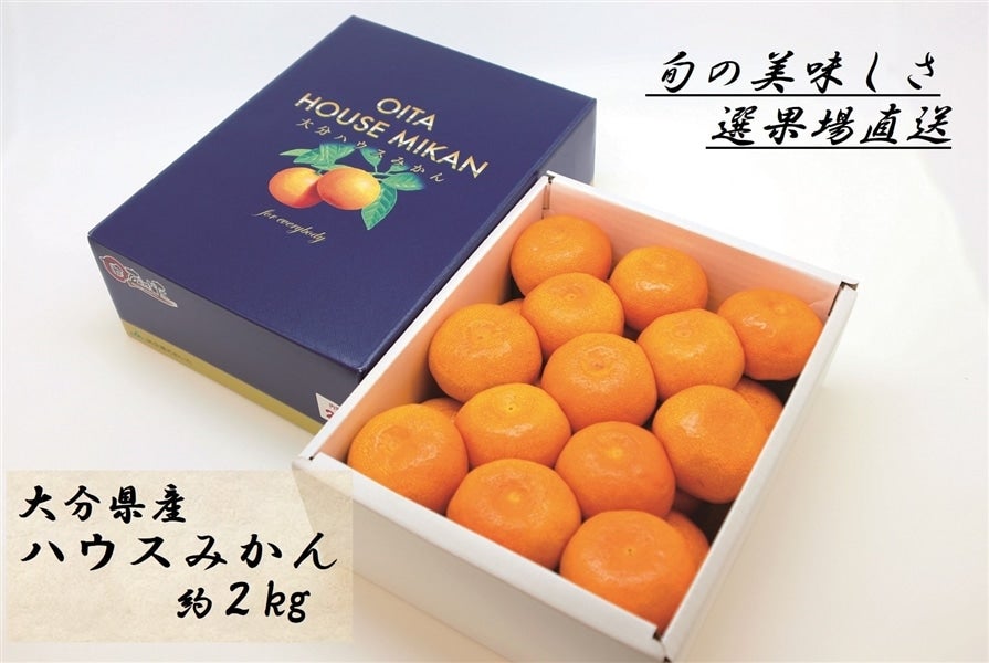 大分県産 ハウスみかん 約２kg 化粧箱: JA全農おおいた|【ＪＡタウン】産地直送 通販 お取り寄せ