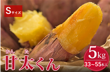 y݁z Ñ 5s匈ZZ[20offʌ