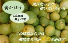 yƒpzڂ 4kg×2