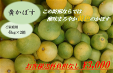 yƒpzڂ 4kg×2iqlSȂj