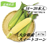 YnIXC[gR[ 16`20{ (300`400/{) 啪Y
