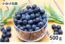 小分け包装！大分県九重・玖珠産冷凍ブルーベリー500g