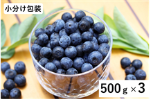 小分け包装！大分県九重・玖珠産冷凍ブルーベリー500g×3袋