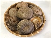 大分県産乾燥椎茸 ステーキ香菇240g