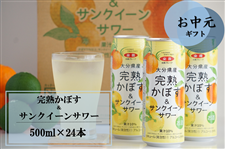 yz nڂTNC[T[500ml×24{