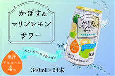 �y���̓��z ���ڂ����}�����������T���[340ml×24�{