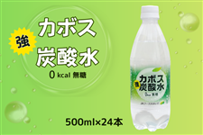 �J�{�X���Y�_���@500ml×24�{