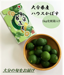 啪YnEXڂ 1kgϔ