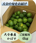 yƒpznEXڂ 4kgi啪YjR5NxY