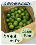 yƒpznEXڂ 10kgi啪YjR5NxY