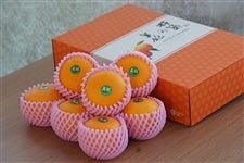 yΕz啪YnEX(݂)I 2.5kgyzwÊΉsz