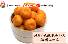 〜おおいた温泉みかん〜大分県産温州みかん 約5kg