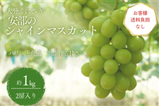 �y���q�l�������S�Ȃ��z�V���C���}�X�J�b�g�i��1kg�j�@�啪���ɂ��������_��
