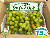 �y�H��JA�^�E���Ղ�z�Ⴒ�ƒ�p��V���C���}�X�J�b�g��1.5kg�@�啪���ɂ��������_��