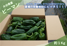 大分県産ピーマン 約１㎏