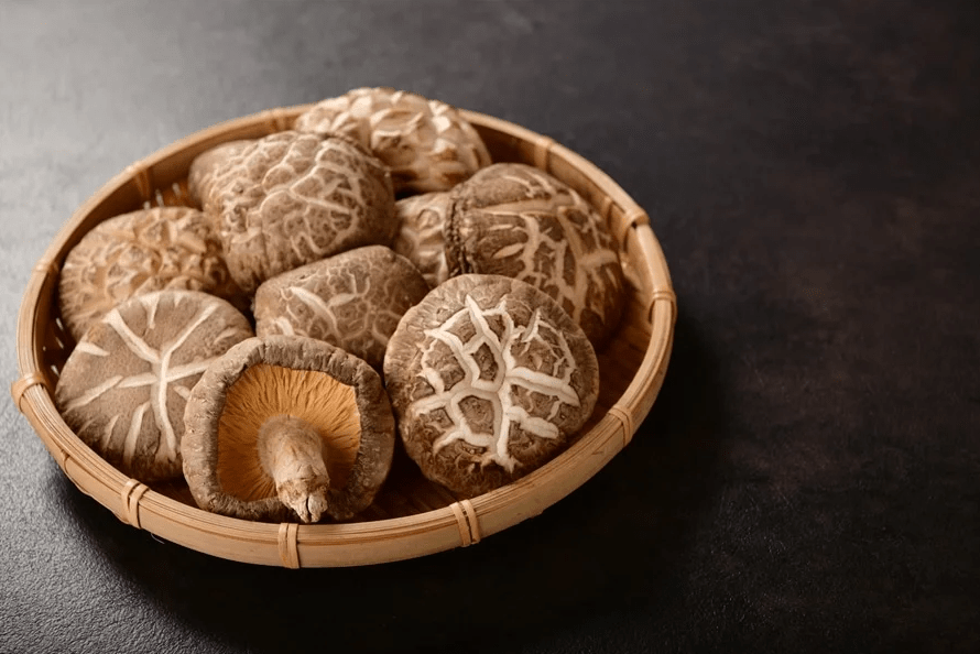 啪Yő@~120g