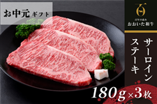 �y�������z���������a�� �T�[���C���X�e�[�L 3���i�Ⓚ�j
