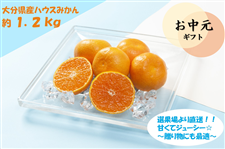 yz啪Y nEX݂  1.2kg ϔ