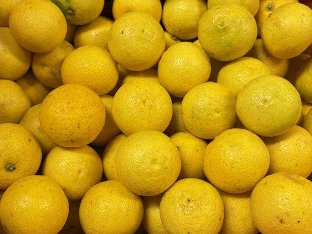 ご家庭用】黄かぼす 2kg（大分県産）: まるっと完食おおいた～美味しい