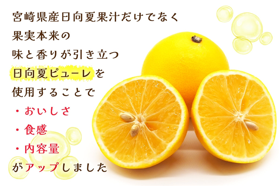 お中元】 サンA 日向夏ゼリー: JAみやざき Tege Mahalo|【JAタウン