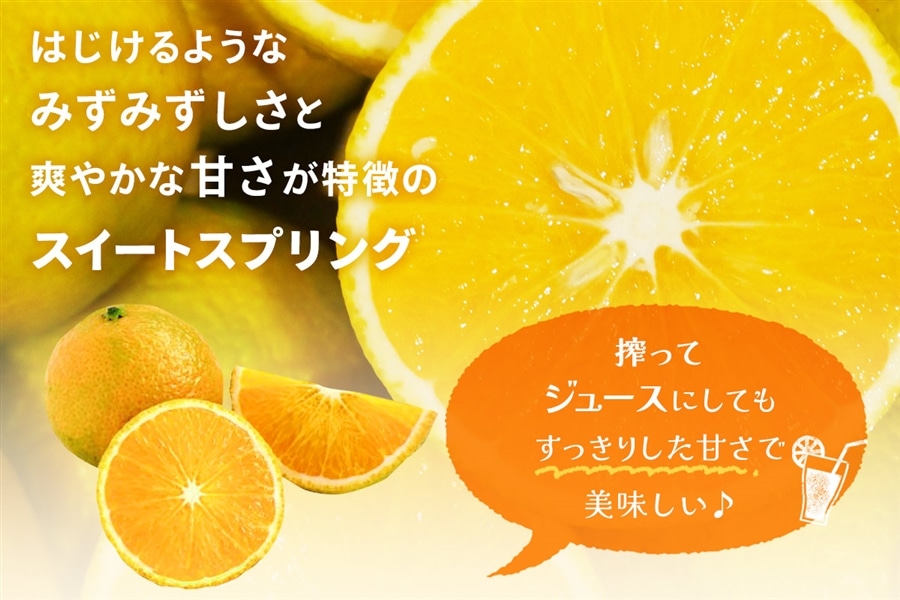 スイートスプリング 5kg×2箱【化粧箱】: JAみやざき Tege Mahalo