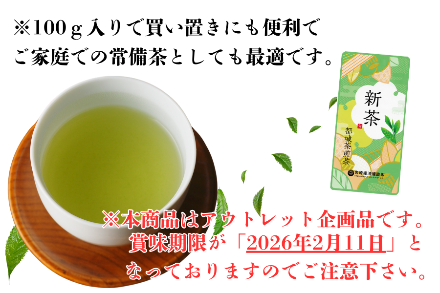 新茶みやざき茶 100g×10本