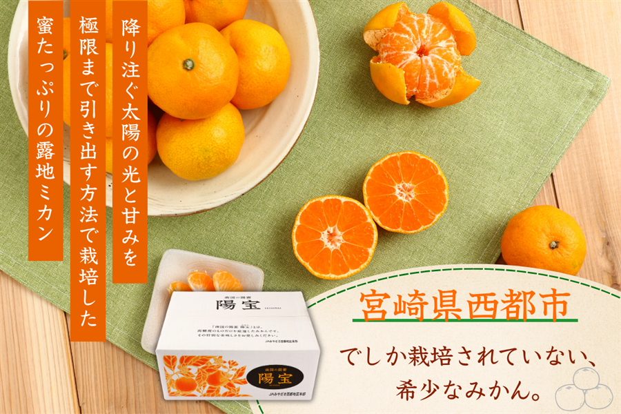 秋のJAタウンまつり】宮崎県西都産 南国の陽蜜【陽宝】 5㎏: JA