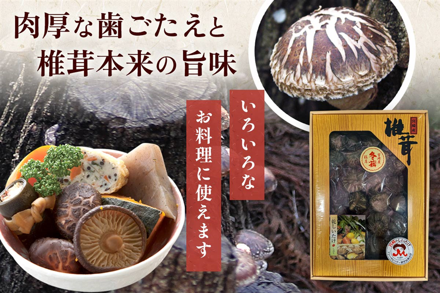 椎茸ギフト どんこ椎茸 90g