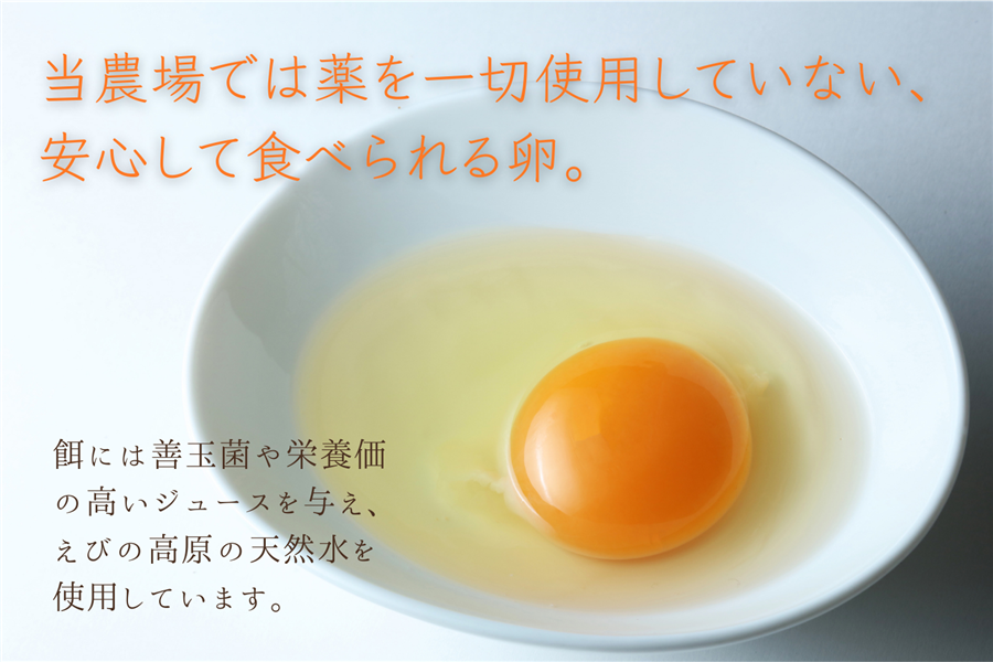 セール　ドボルザーク　鶏卵写真　カルテ・デ・ヴィジット　新世界より クール便】東養鶏場 ありがとうパック（紙パック）6個入×12p: JA