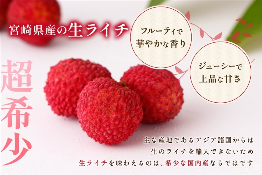 宮崎県綾町産 生ライチ食べ比べセット: JAみやざき Tege Mahalo|【JA