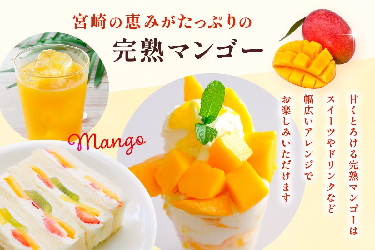 みやざき完熟マンゴー【化粧箱入】: JAみやざき Tege Mahalo