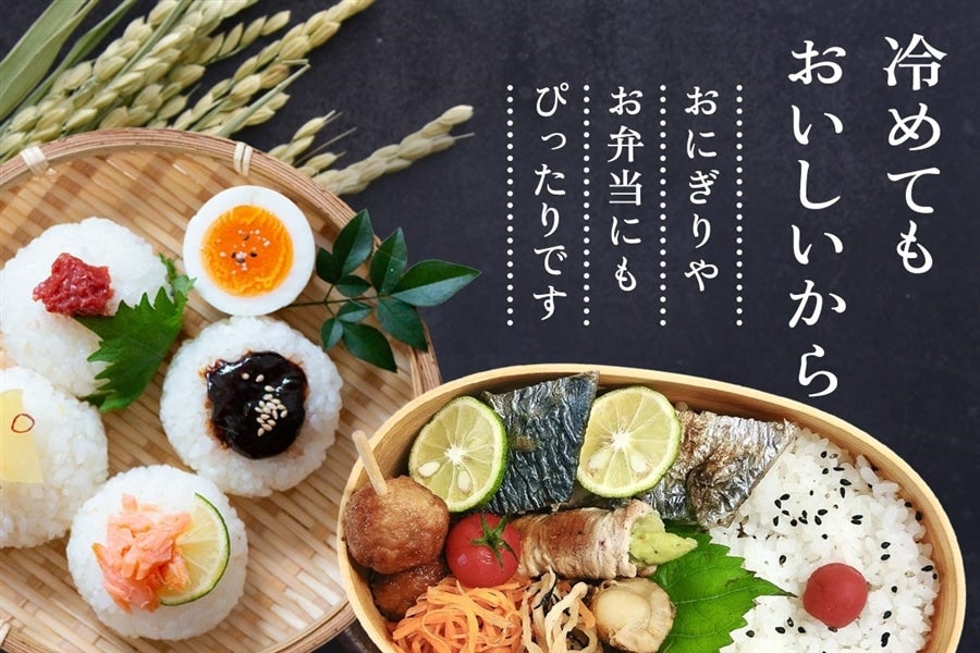 【令和7年産】宮崎県産 ひのひかり 5kg