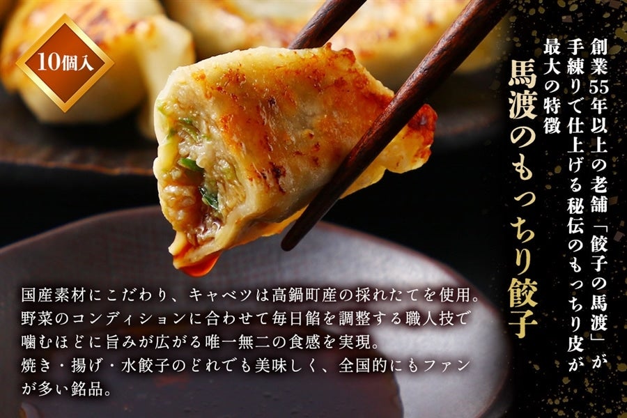 みやざきぎょうざ食べ比べセット