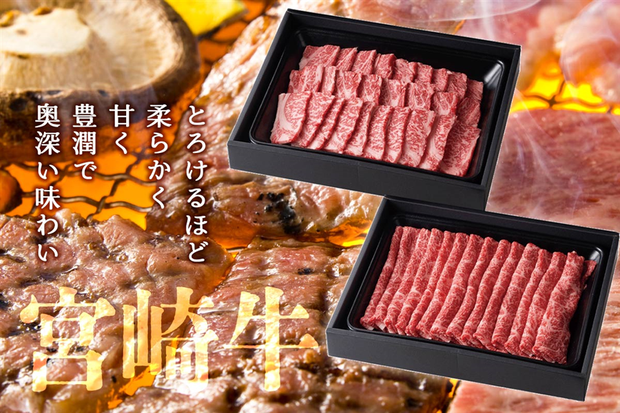 お中元】宮崎牛 肩ロース焼肉・モモ焼きしゃぶセット 計1.0kg: JA