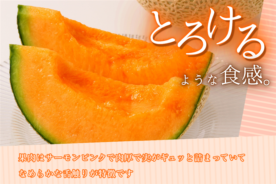 赤肉メロン(2玉入): JAみやざき Tege Mahalo|【JAタウン】産地直送