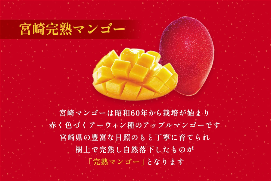 宮崎完熟マンゴーラングドシャ 16袋入×2箱