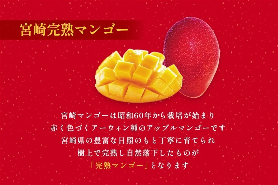 宮崎完熟マンゴーラングドシャ 16袋入×21箱