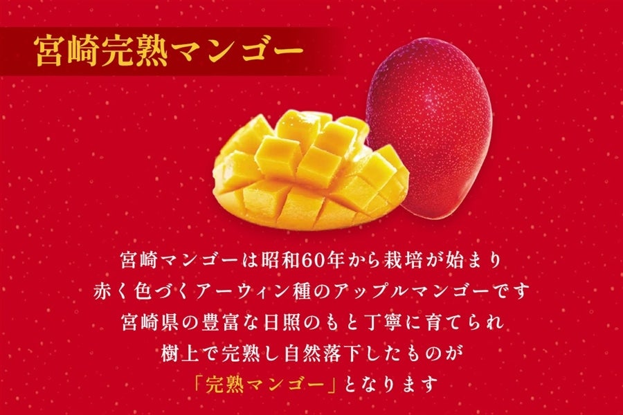 宮崎完熟マンゴーラングドシャ 8袋入×42箱