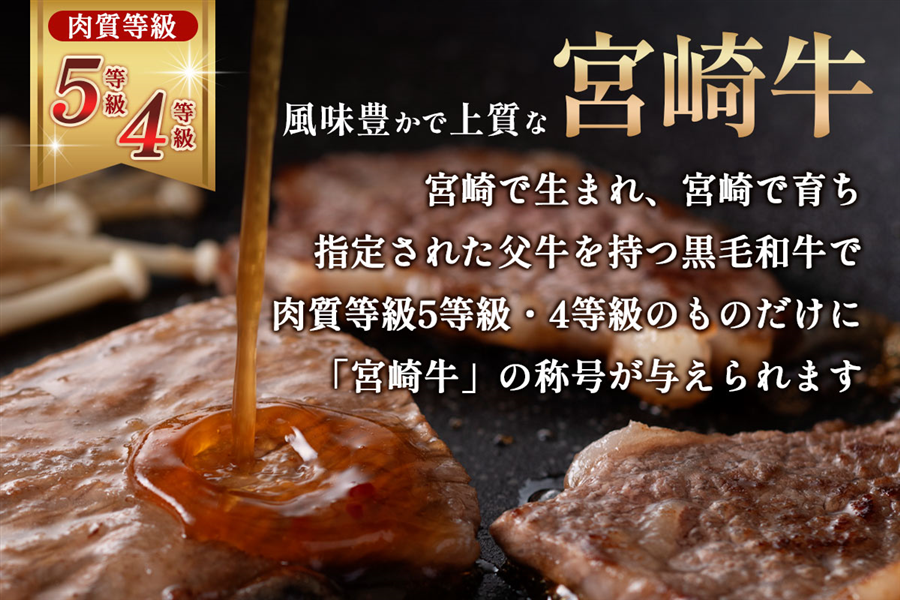 宮崎牛 肩ロース焼肉・モモ焼きしゃぶセット 計1.0kg