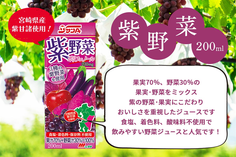 お中元】サンA 紫野菜: JAみやざき Tege Mahalo|【JAタウン】産地